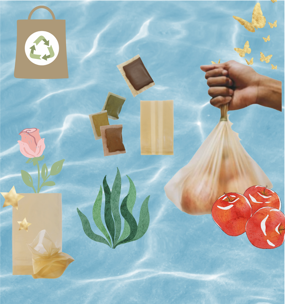 ゴミにならない海藻由来シート BIOPAC おためし (トライアル) レター